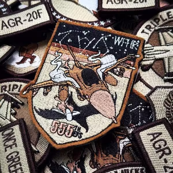 Custom embroidered military patch featuring a diving fighter jet over a black bird silhouette with 555th FS text.